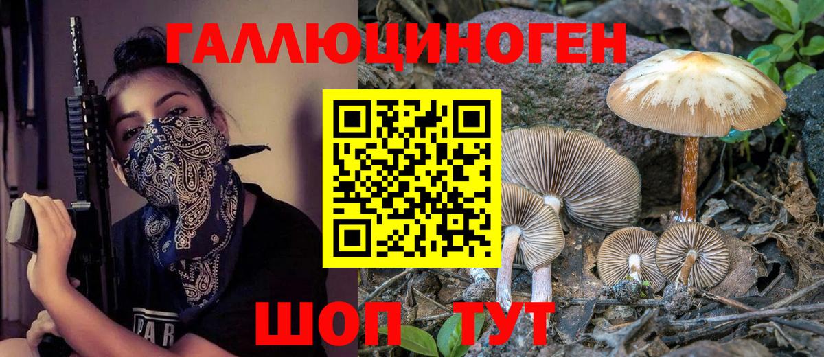 Псилоцибиновые грибы Magic Shrooms Тавда