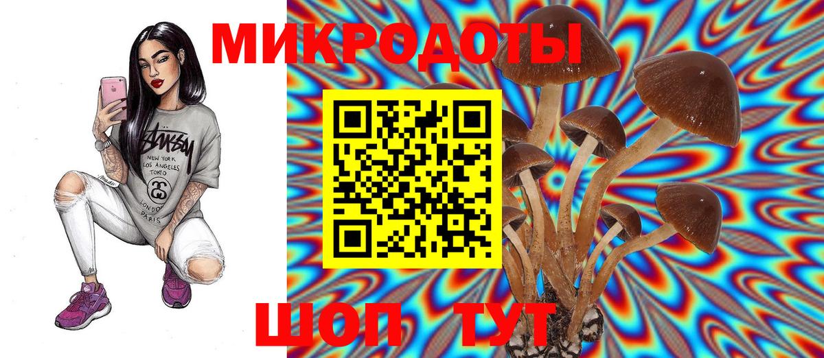 Тавда  Галлюциногенные грибы GOLDEN TEACHER  Вход с VPN 
